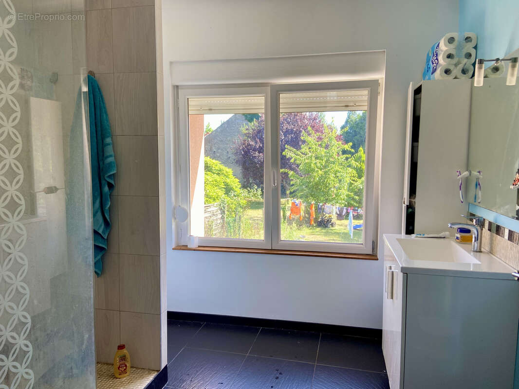 Maison à CREUZIER-LE-VIEUX