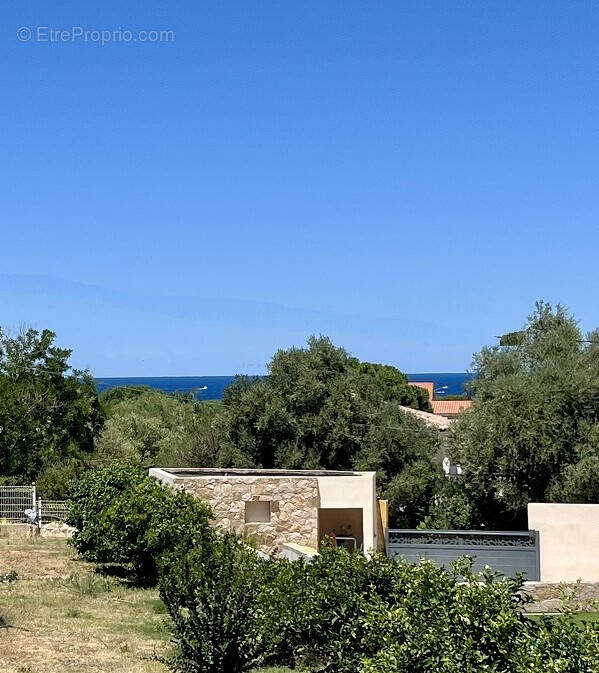 Appartement à CALVI