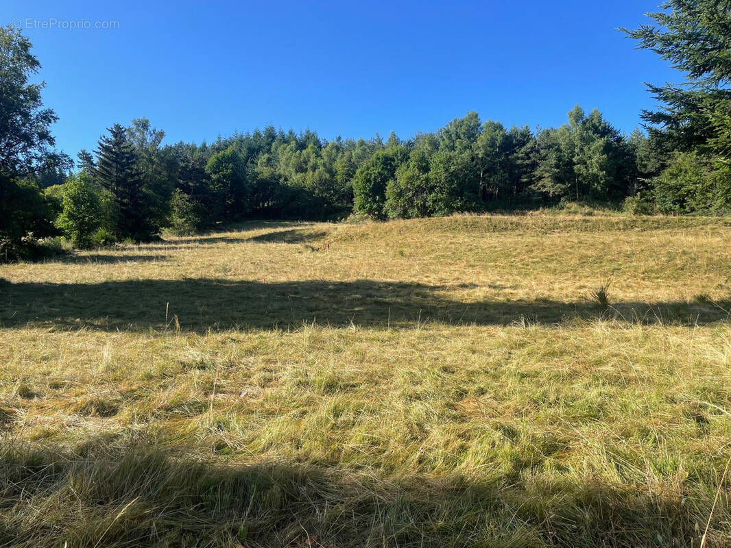 Terrain à CHAUDEYRAC