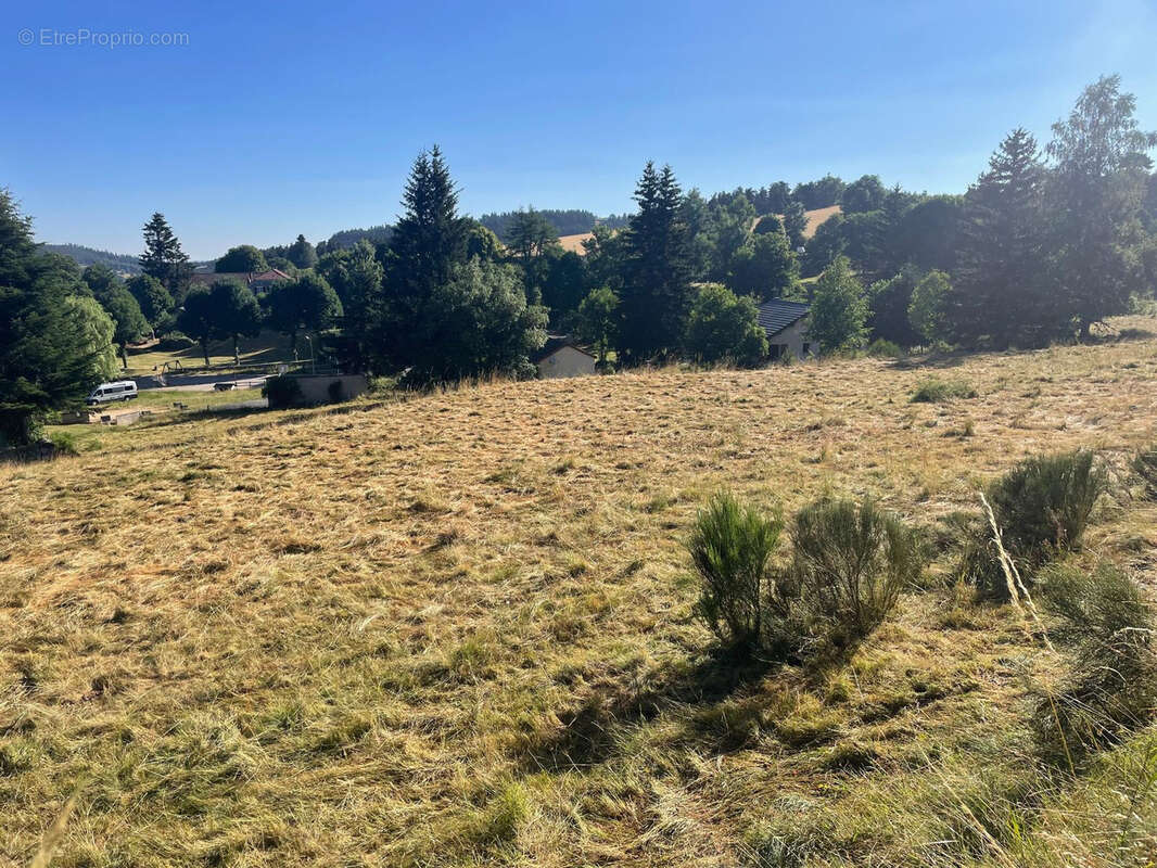 Terrain à CHAUDEYRAC