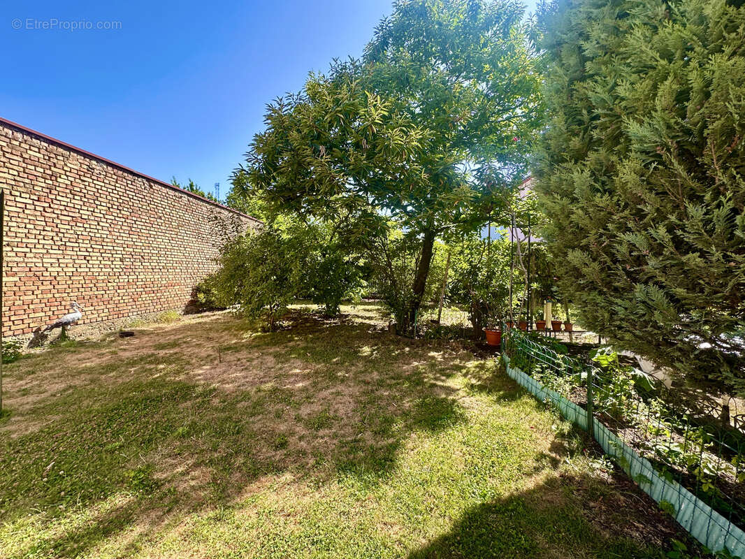 Maison à SAINT-LOUIS