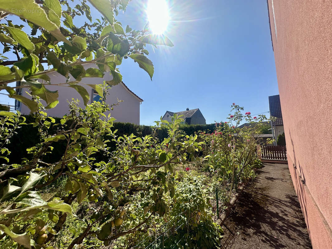 Maison à SAINT-LOUIS