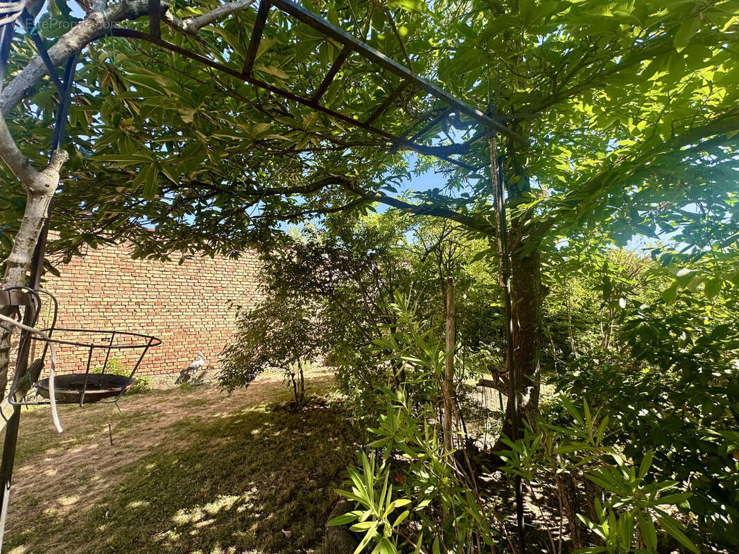 Maison à SAINT-LOUIS