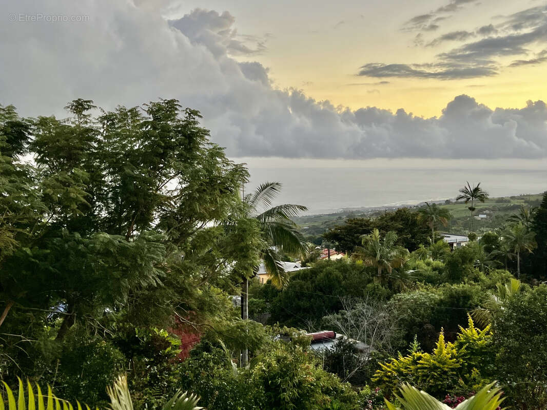 Maison à PETITE-ILE