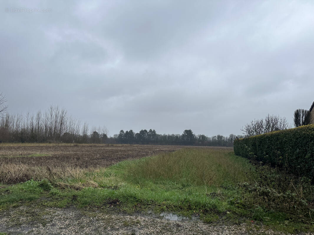 Terrain à ONNAING