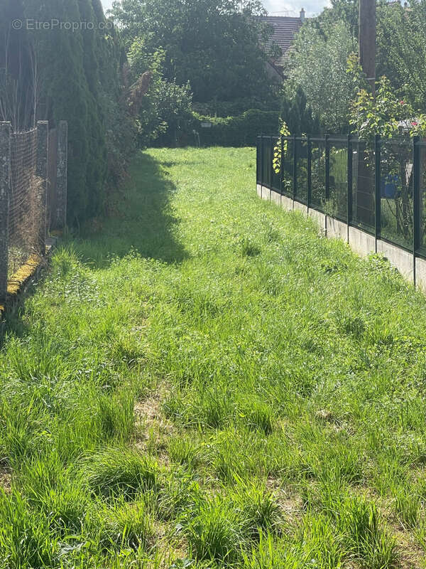 Terrain à DANNEMARIE