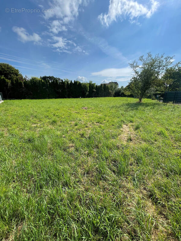 Terrain à DANNEMARIE