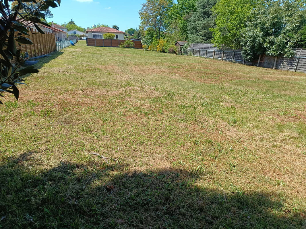Terrain à SAINT-PIERRE-DU-MONT