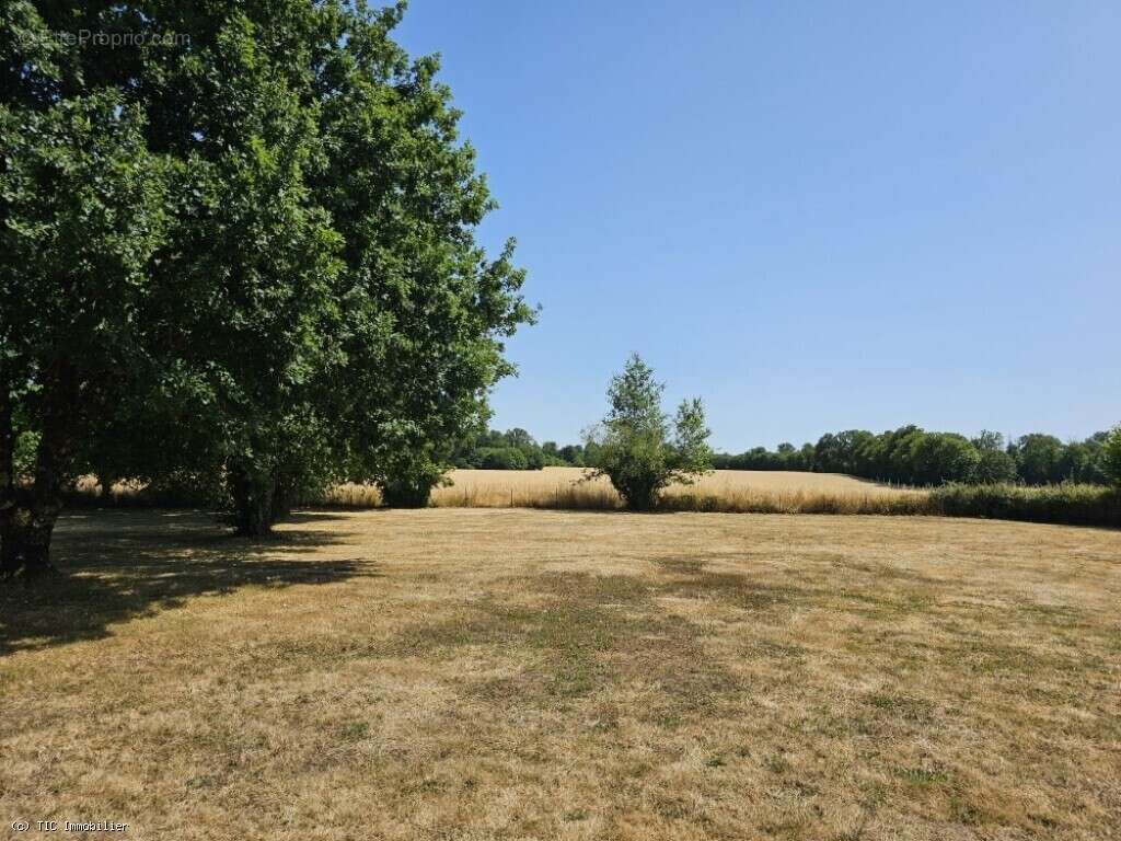 Maison à CHAMPAGNE-MOUTON