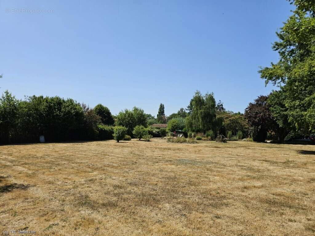 Maison à CHAMPAGNE-MOUTON