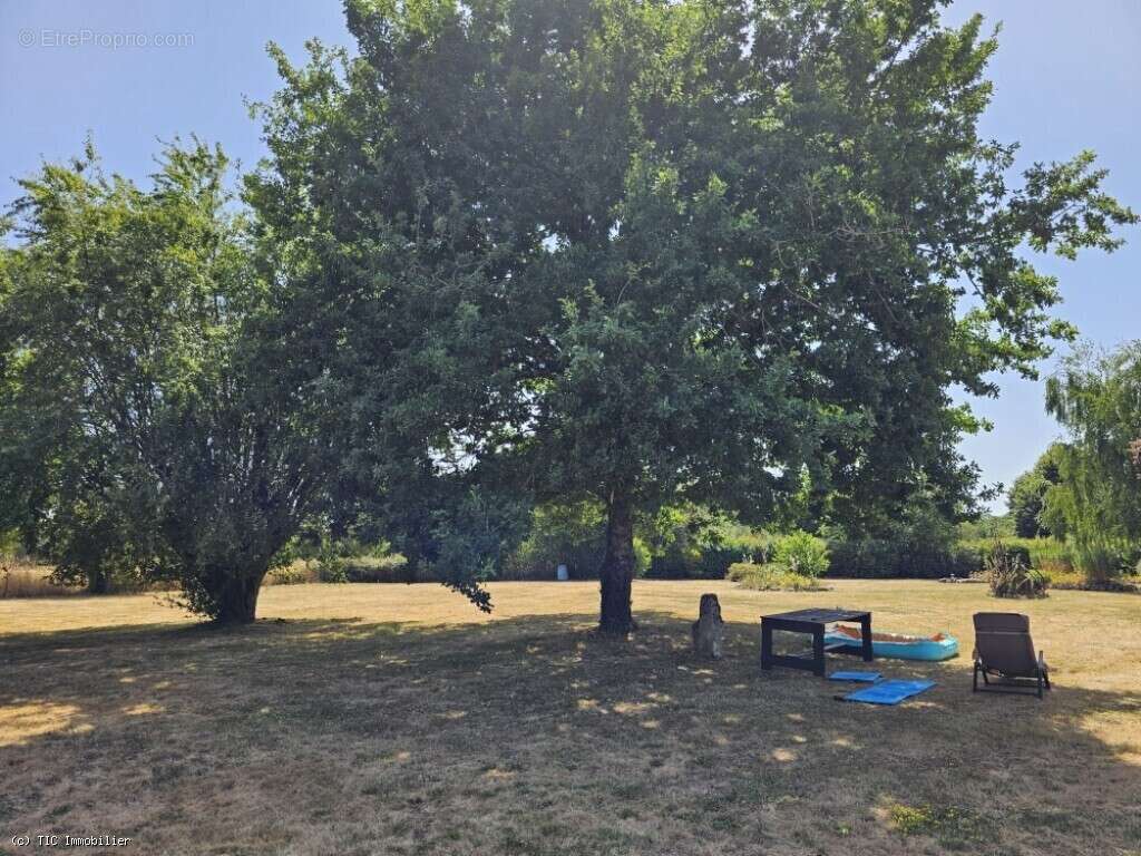 Maison à CHAMPAGNE-MOUTON