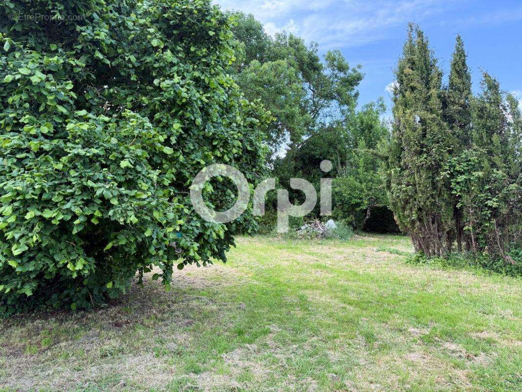 Terrain à SAINT-LAURENT-DE-LA-PREE