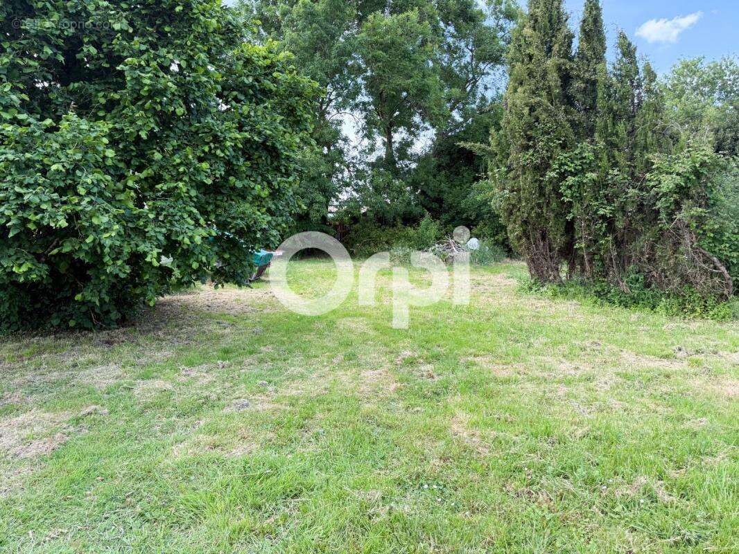 Terrain à SAINT-LAURENT-DE-LA-PREE