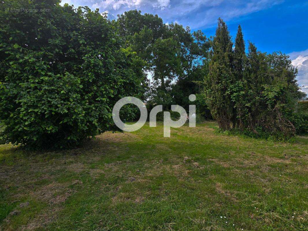 Terrain à SAINT-LAURENT-DE-LA-PREE