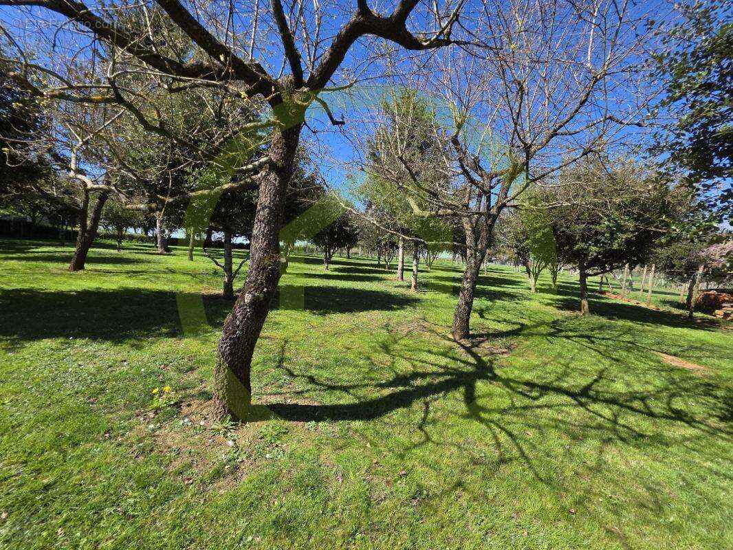 Maison à CELLEFROUIN