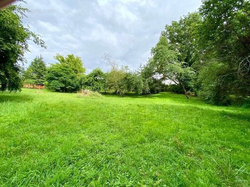 Maison à SAINT-PIERRE-DU-MONT