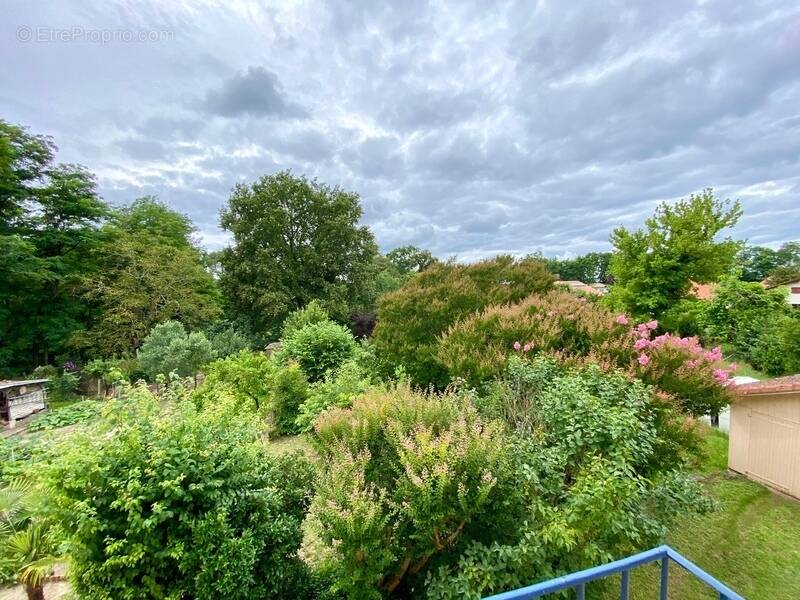 Maison à SAINT-PIERRE-DU-MONT