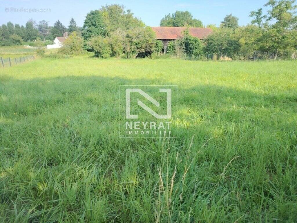 Terrain à SAINT-MARTIN-EN-BRESSE