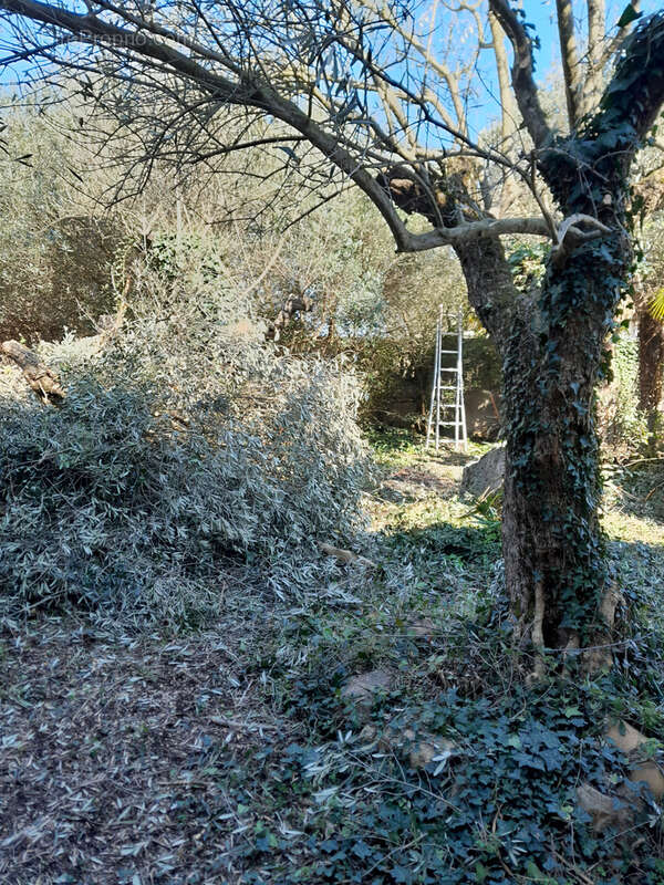 Maison à ROUSSILLON