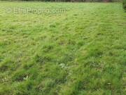 Terrain à SAINTE-HELENE