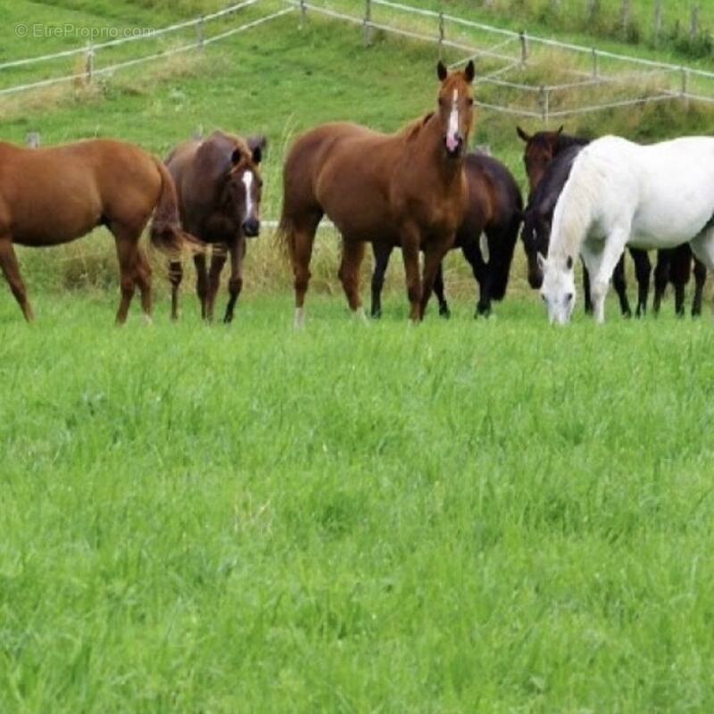 Maison à CONTREXEVILLE