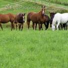 Maison à CONTREXEVILLE