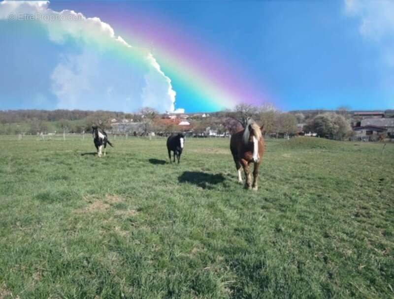 Maison à CONTREXEVILLE