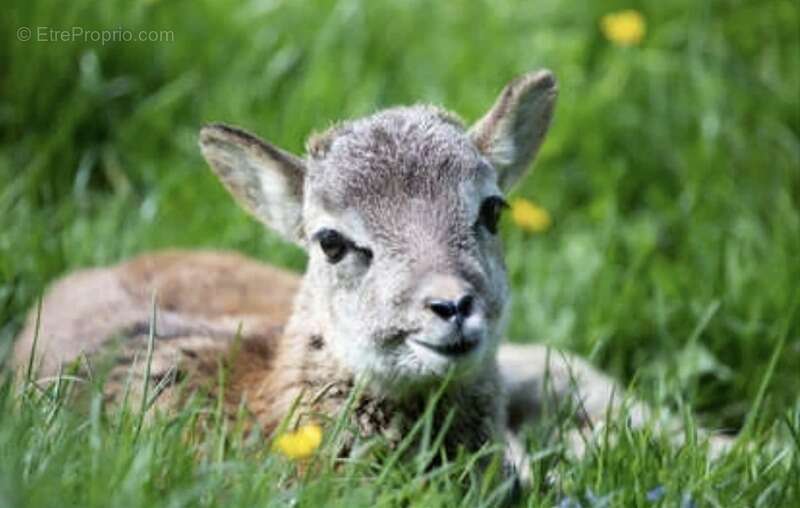 Maison à CONTREXEVILLE