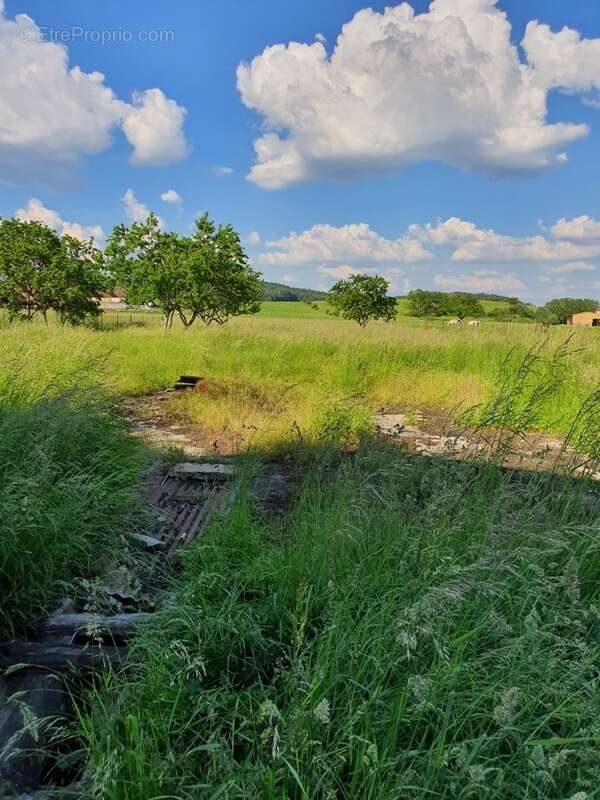 Maison à CONTREXEVILLE