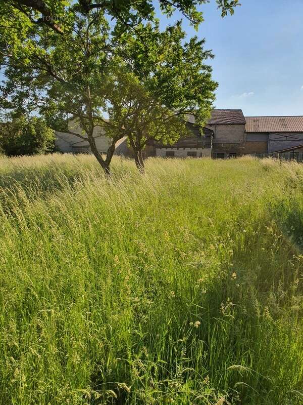 Maison à CONTREXEVILLE