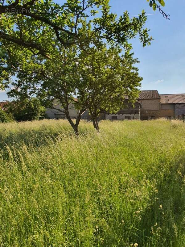 Maison à CONTREXEVILLE