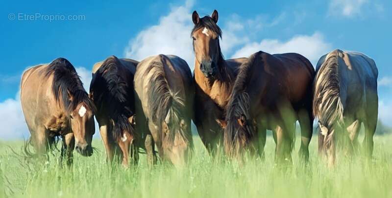 Maison à CONTREXEVILLE