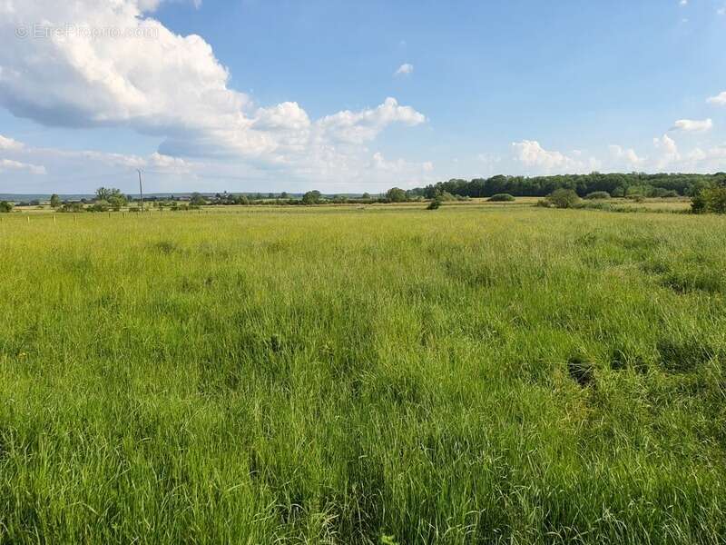 Maison à CONTREXEVILLE