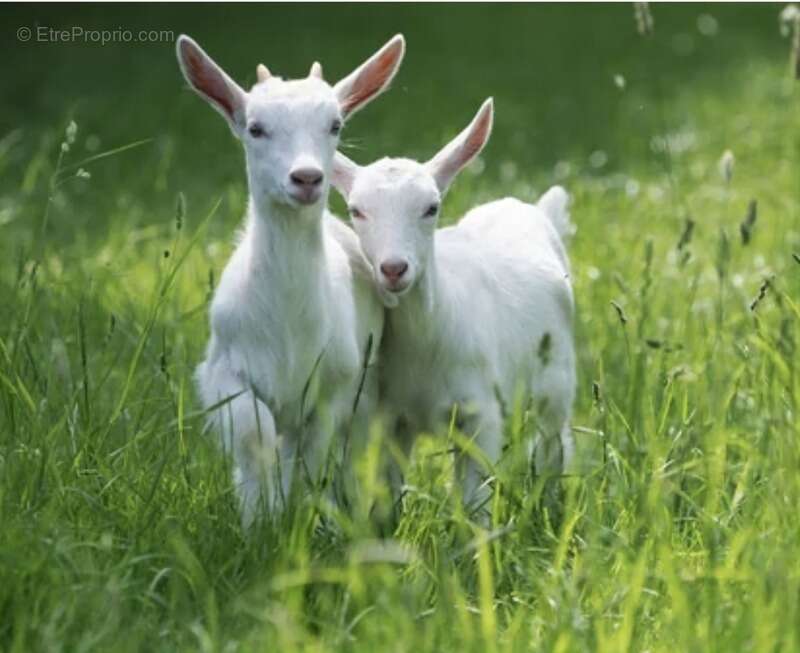 Maison à CONTREXEVILLE