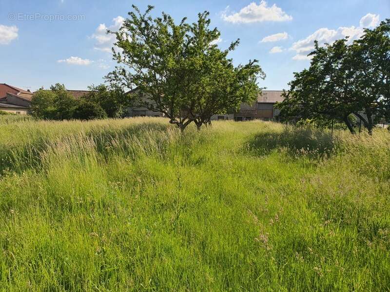 Maison à CONTREXEVILLE