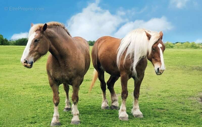 Maison à CONTREXEVILLE