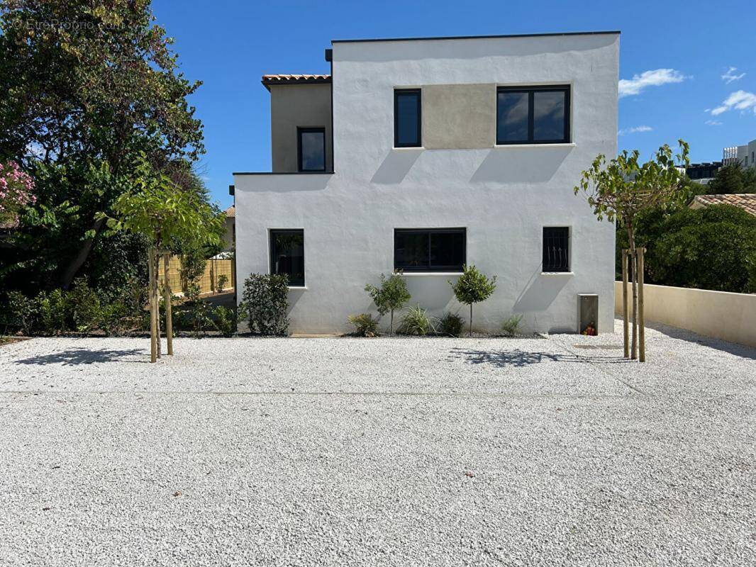 Maison à MONTPELLIER