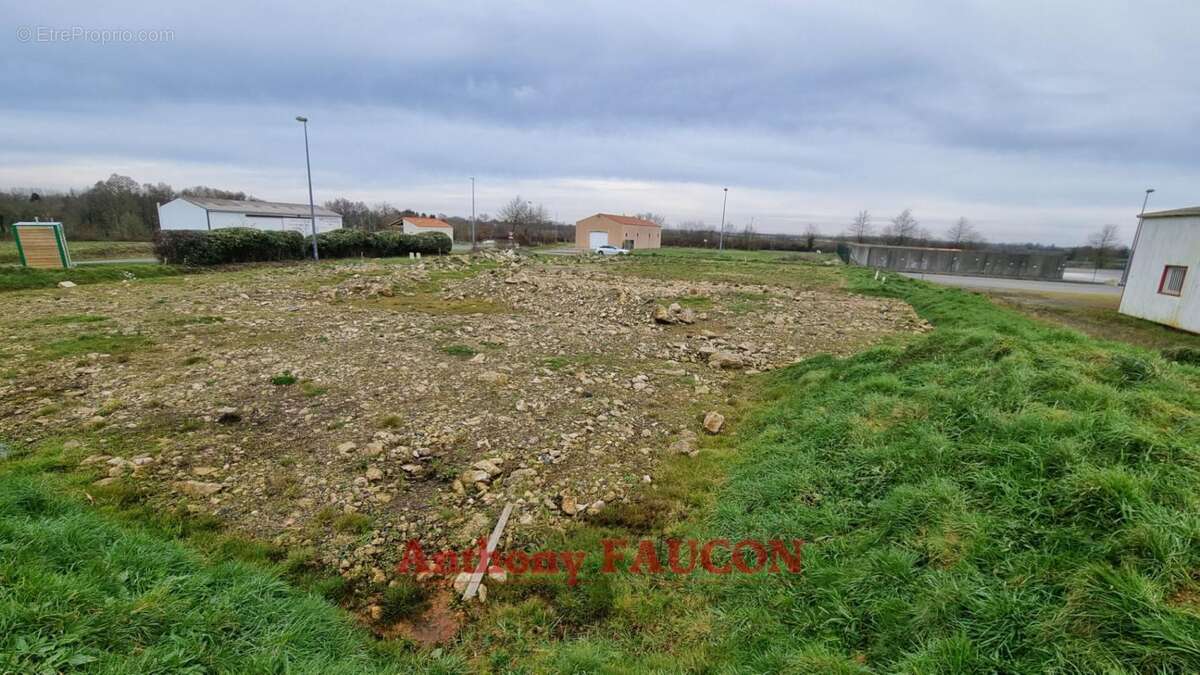 Terrain à CHATEAU-GUIBERT