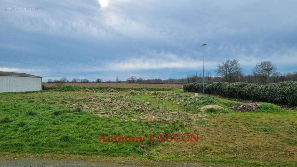 Terrain à CHATEAU-GUIBERT