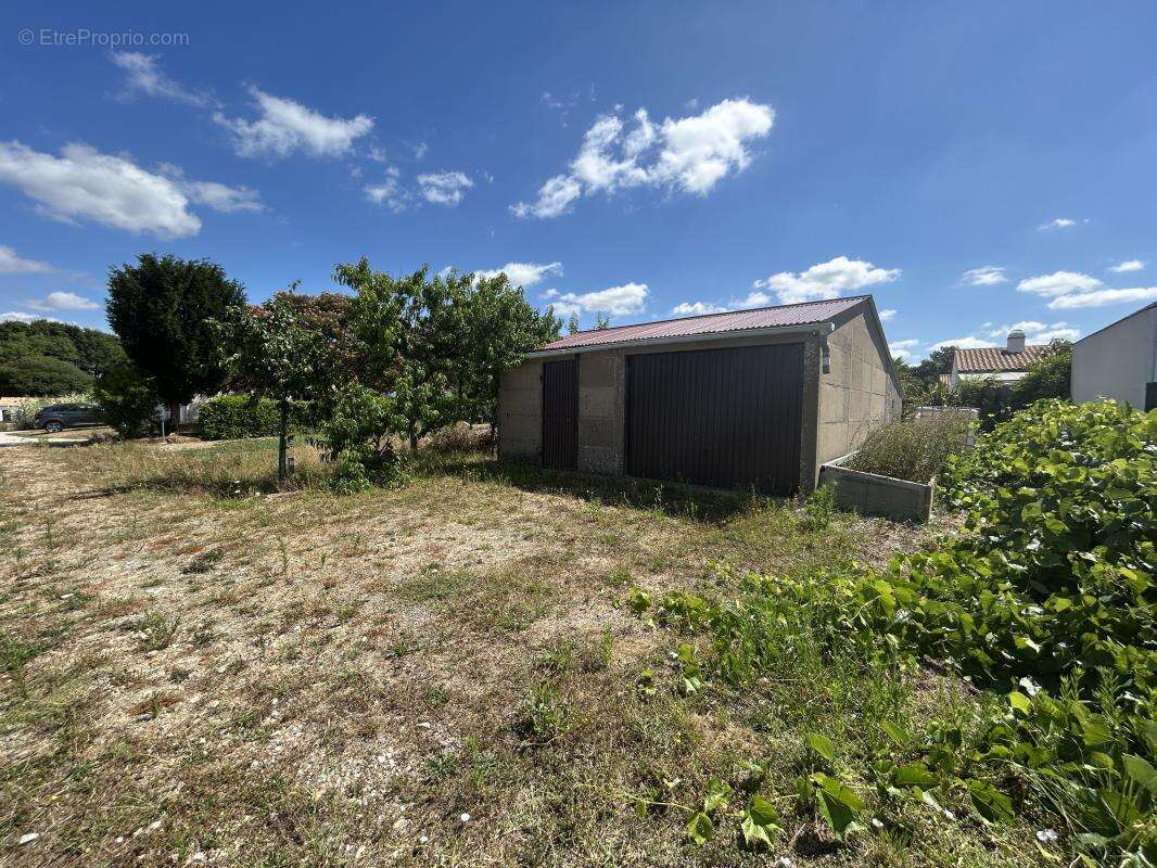 Terrain à LA MOTHE-ACHARD