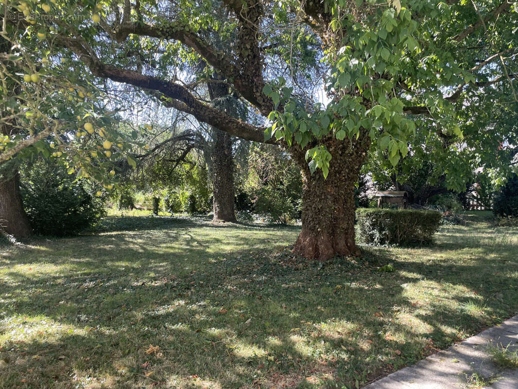 Maison à SAINT-JEAN-DE-SAUVES