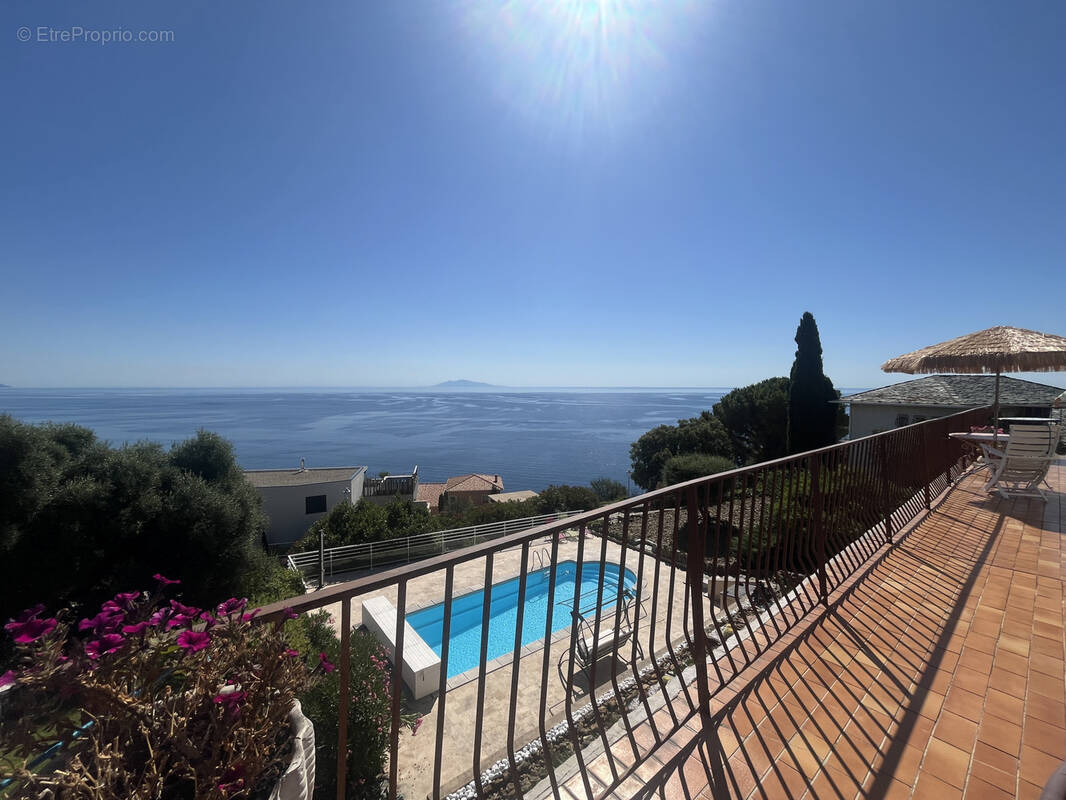 Maison à SAN-MARTINO-DI-LOTA