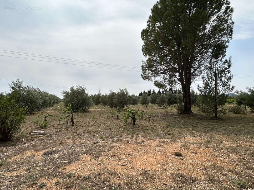 Terrain à GIGNAC