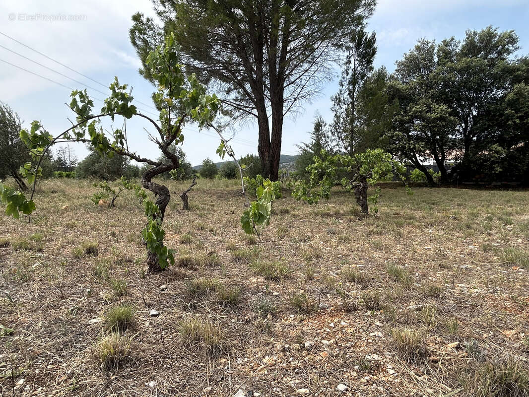 Terrain à GIGNAC