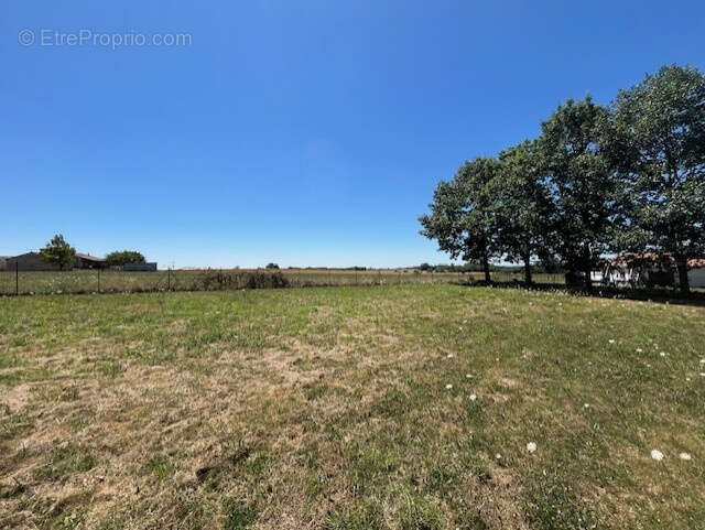 Terrain à ALBI