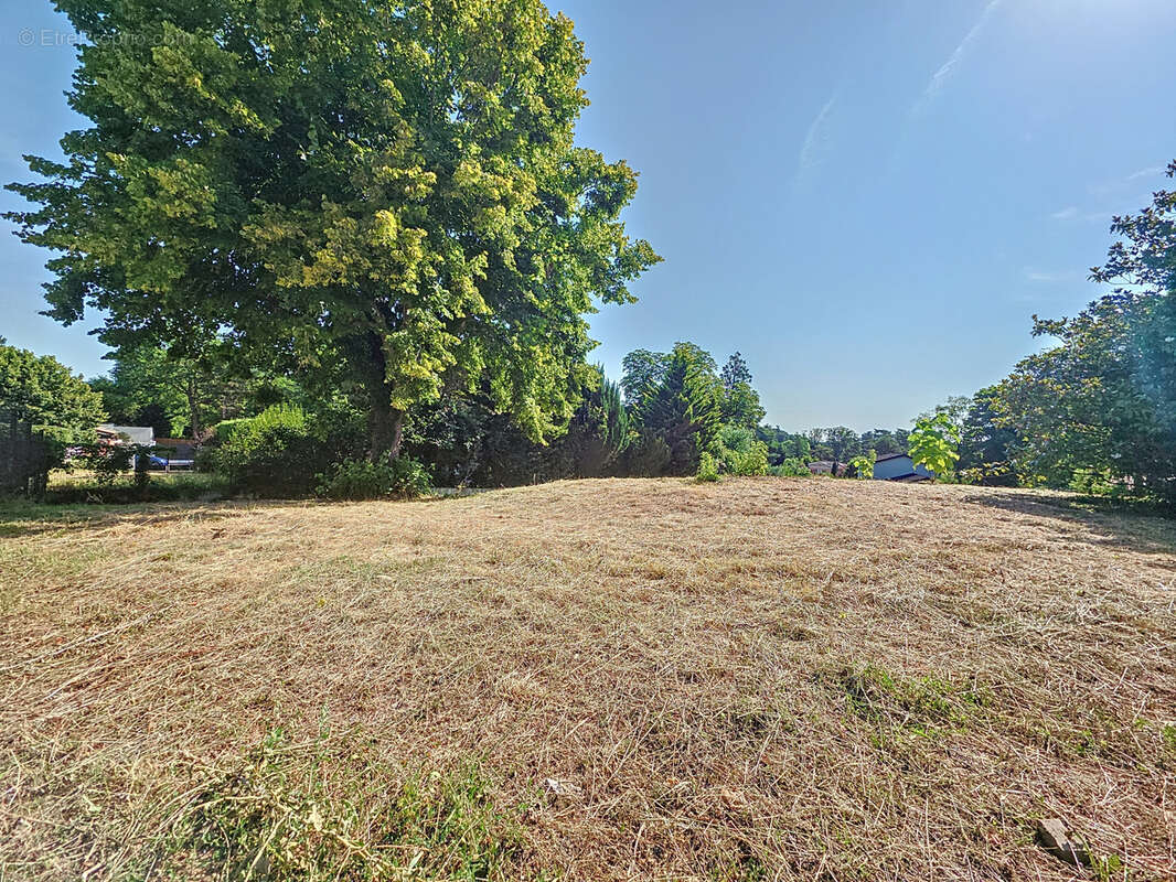 Terrain à ECULLY