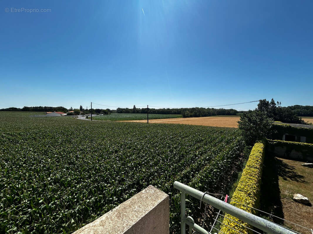 Maison à SALLES-SUR-MER