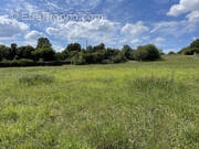 Terrain à CHATILLON-SUR-LOIRE