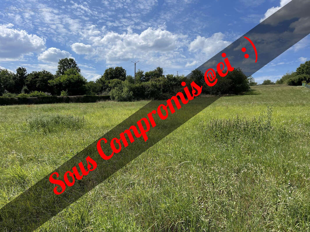 Terrain à CHATILLON-SUR-LOIRE