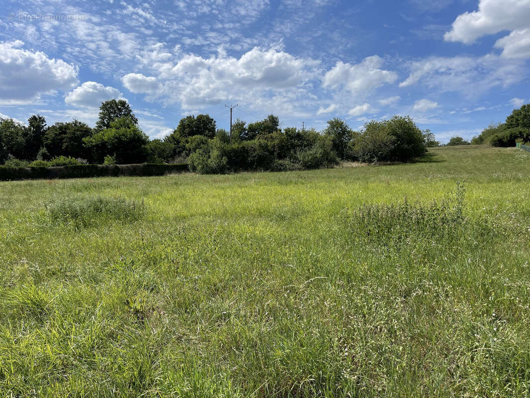 Terrain à CHATILLON-SUR-LOIRE